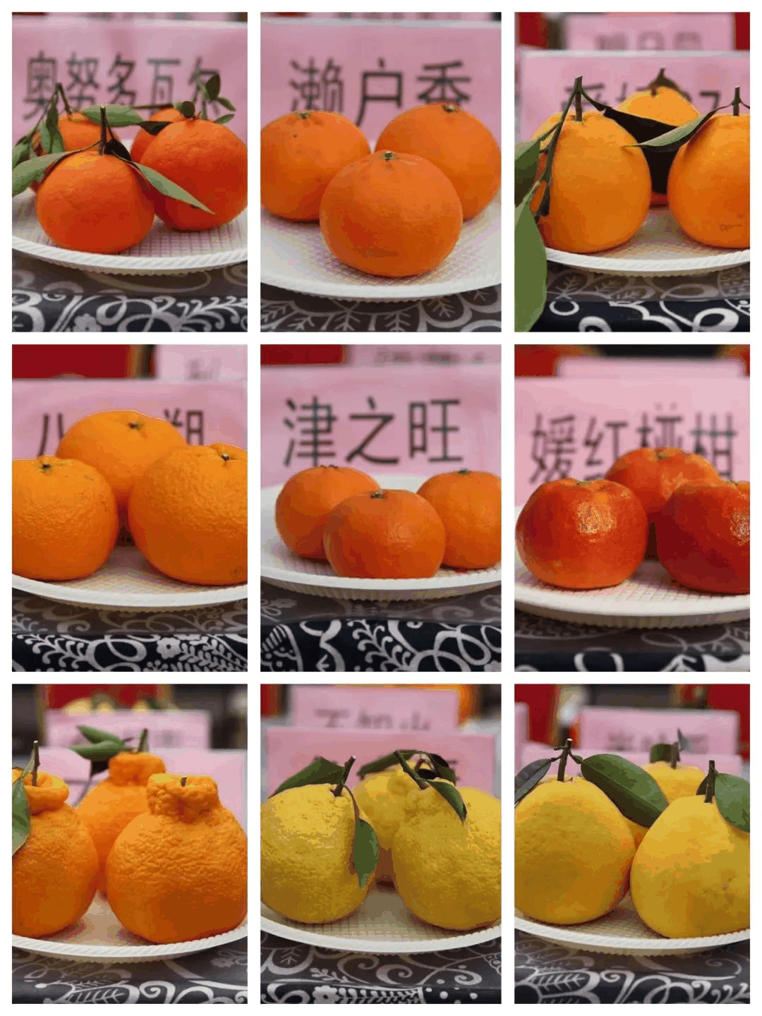 圖片2.png