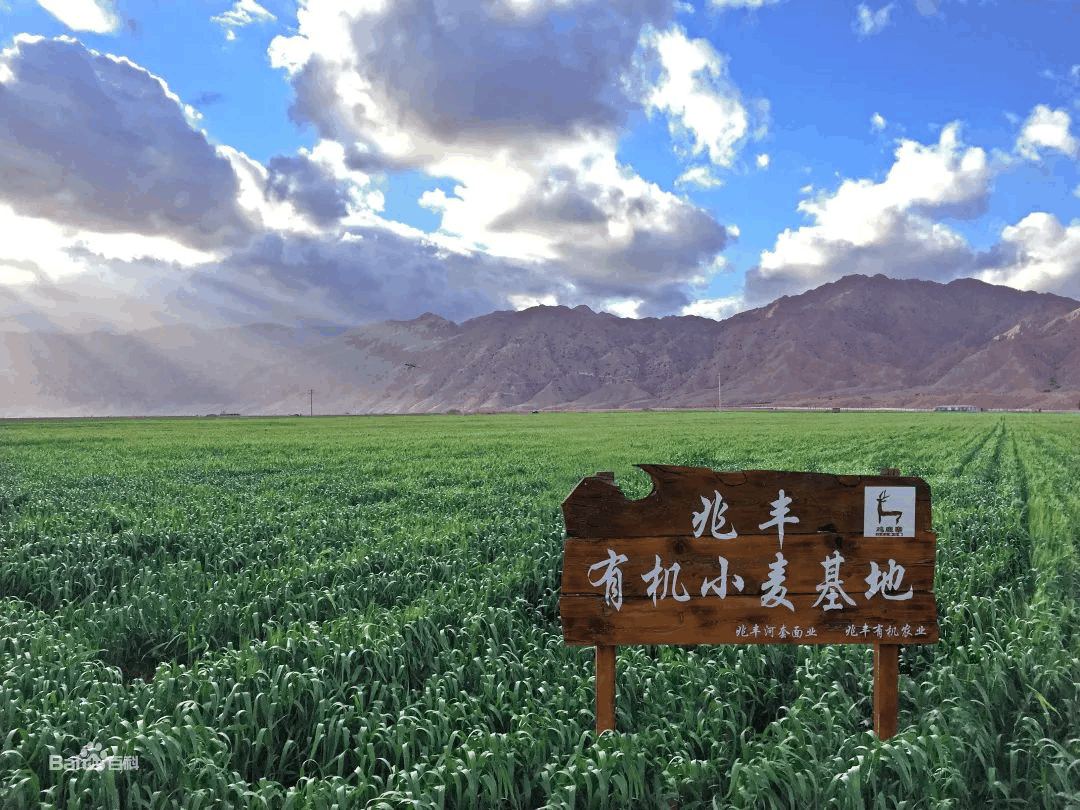 微信圖片_20210916171937.png
