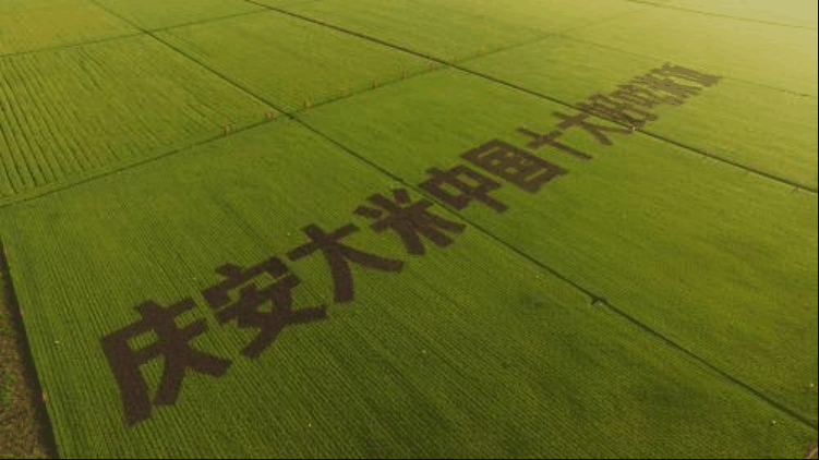 微信圖片_20220215093314.png