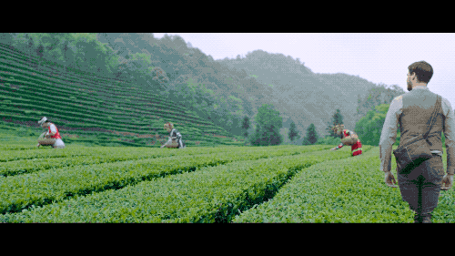 微信圖片_20220401161901.gif