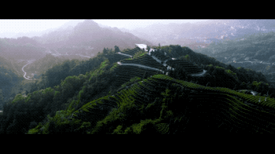 微信圖片_20220401161849.gif
