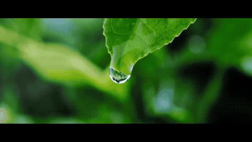 微信圖片_20220401161852.gif
