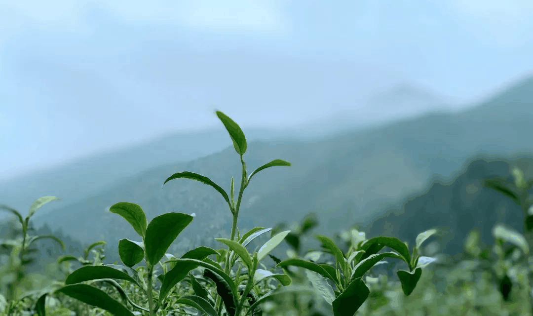 微信圖片_20220409102840.png