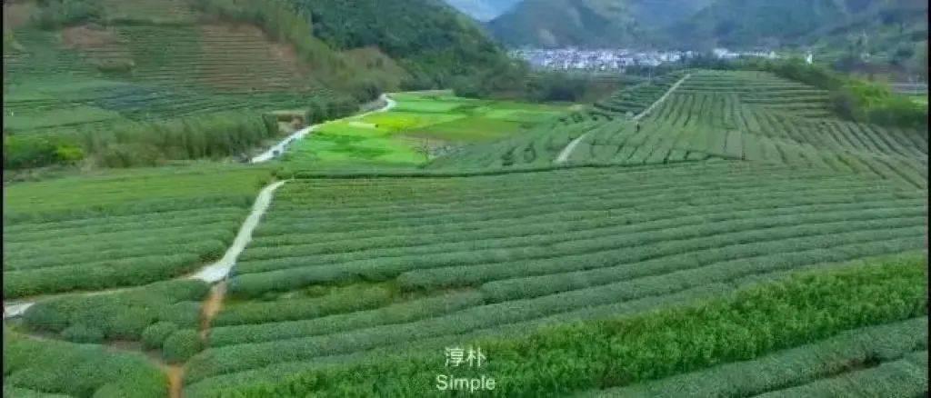 微信圖片_20220409112343.jpg