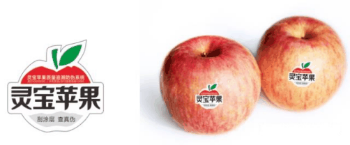 8.png