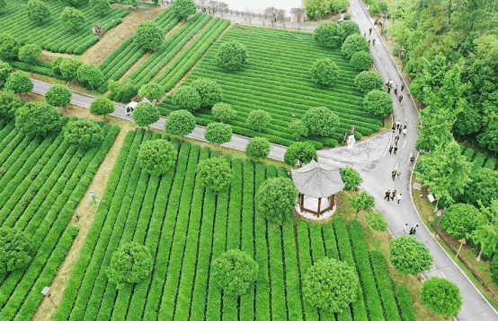 微信圖片_20230113145418.png