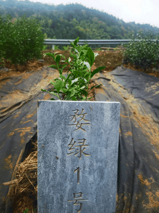 微信圖片_20230222111152.png