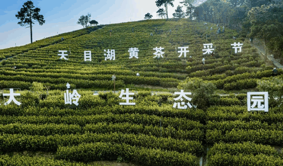 微信圖片_20230301153535.png