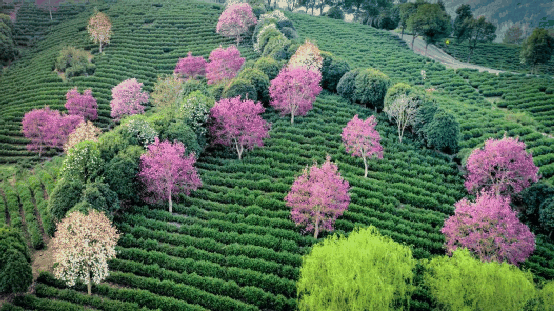 微信圖片_20230301153526.png