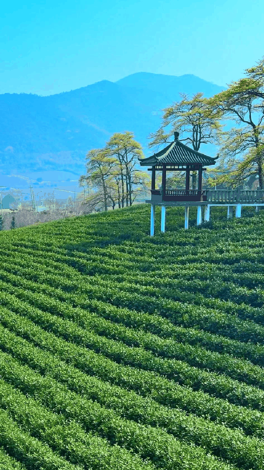 微信圖片_20230301153512.png